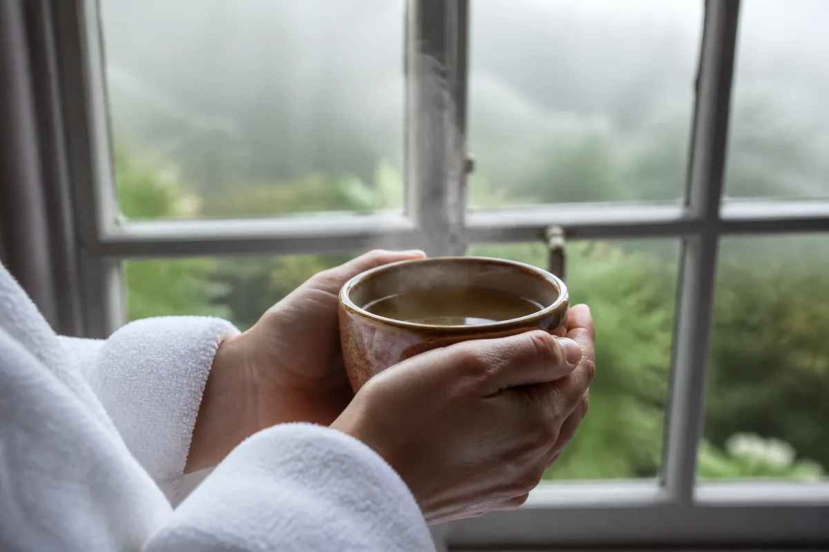 Mains tenant une tasse de tisane fumante près d&rsquo;une fenêtre donnant sur un jardin brumeux